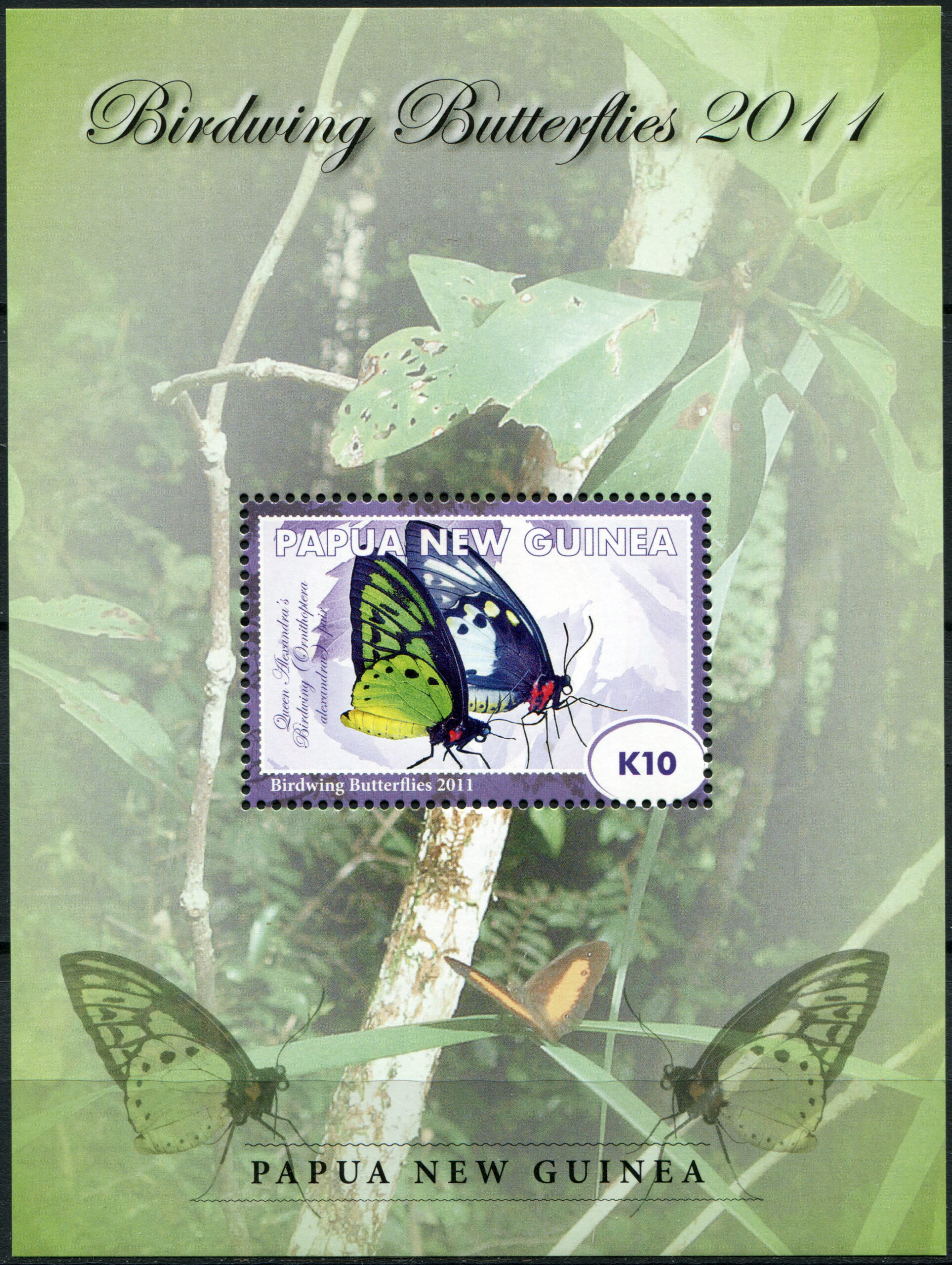 Papua New Guinea. 2011. Birdwing Butterfly - Queen Alexandra (MNH **) Souvenir Sheet