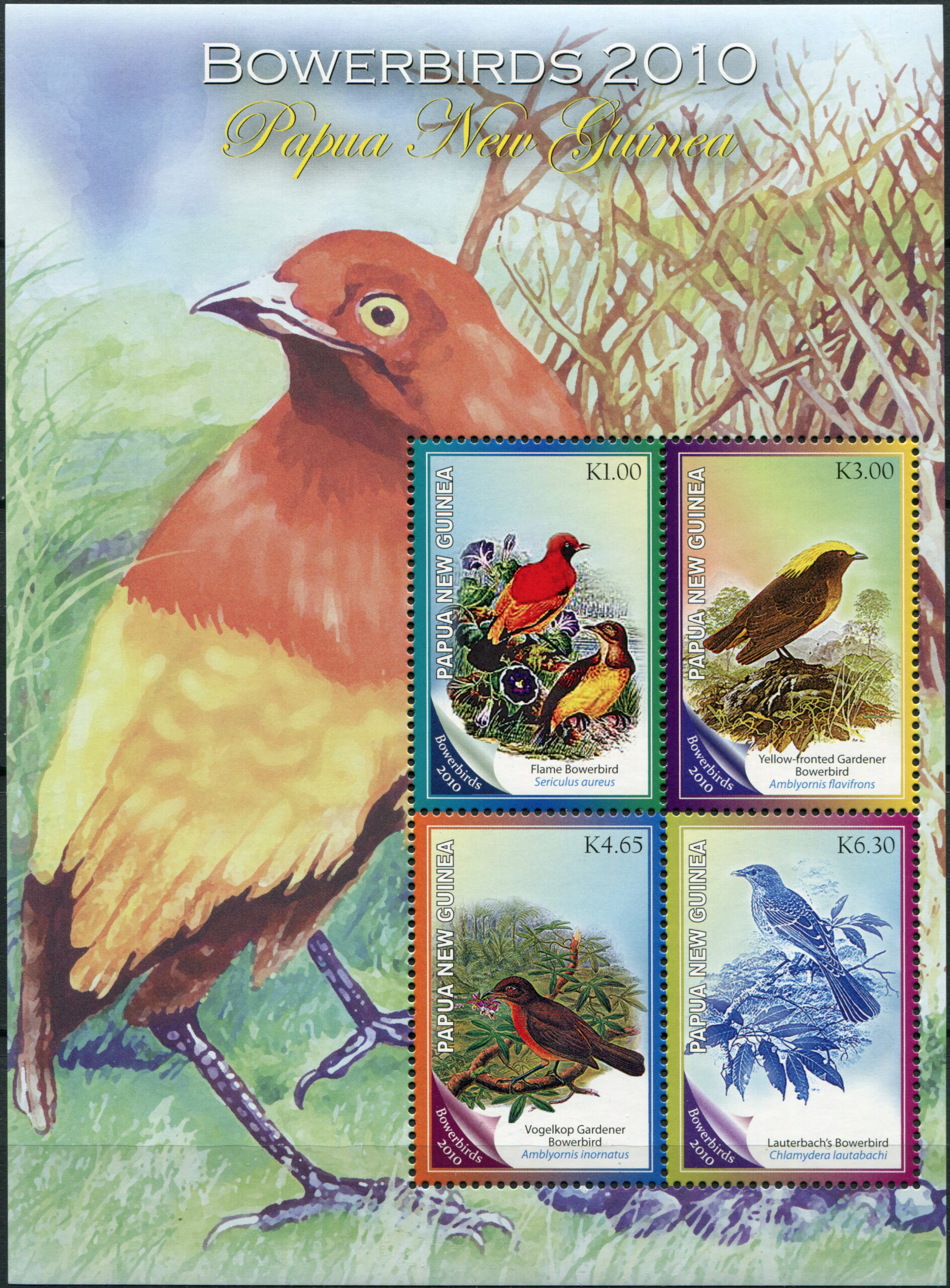 Papua New Guinea. 2010. Bowerbirds (MNH **) Miniature Sheet