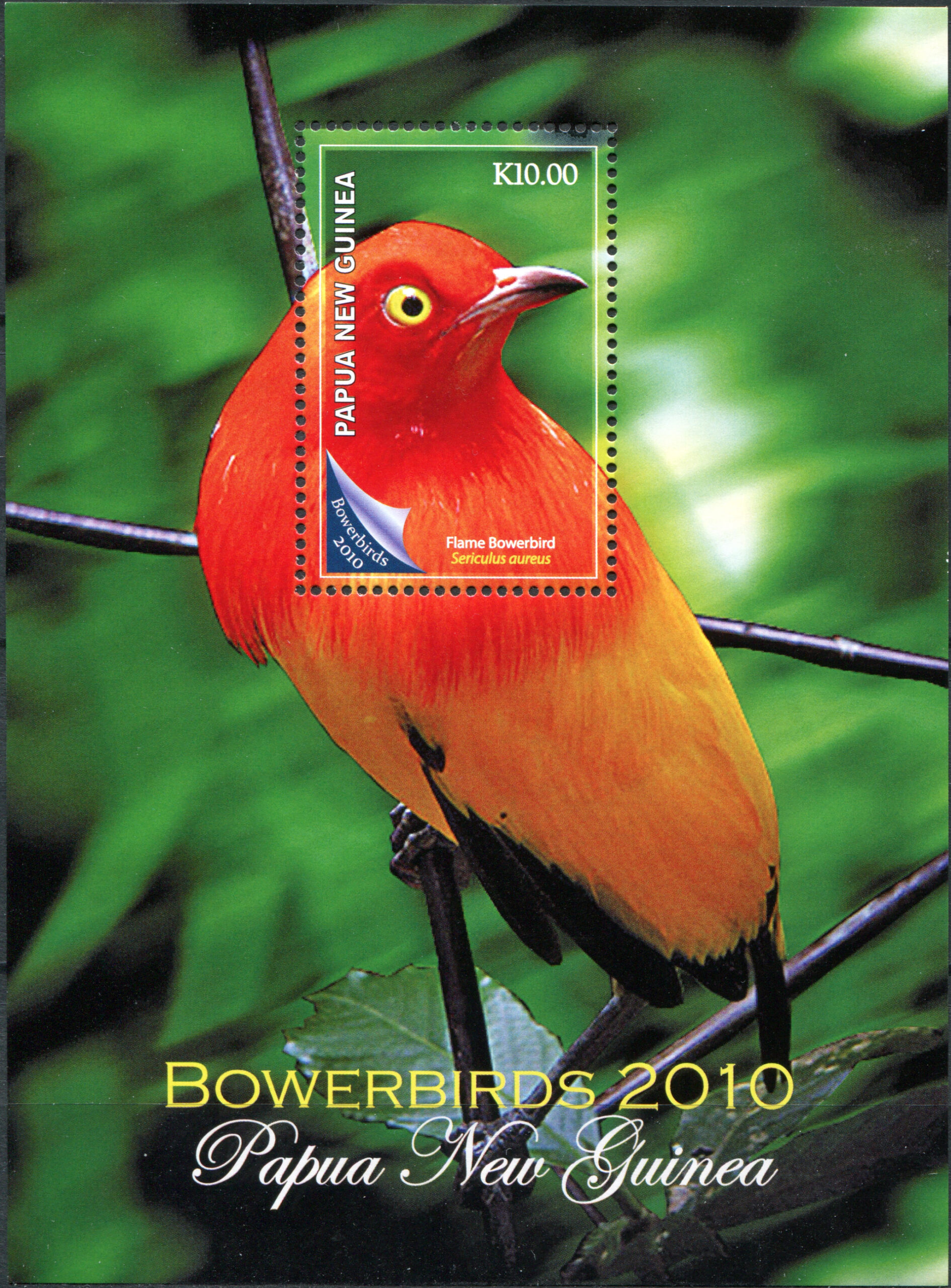 Papua New Guinea. 2010. Flame Bowerbird (Sericulus aureus) (MNH **) Souvenir Sheet