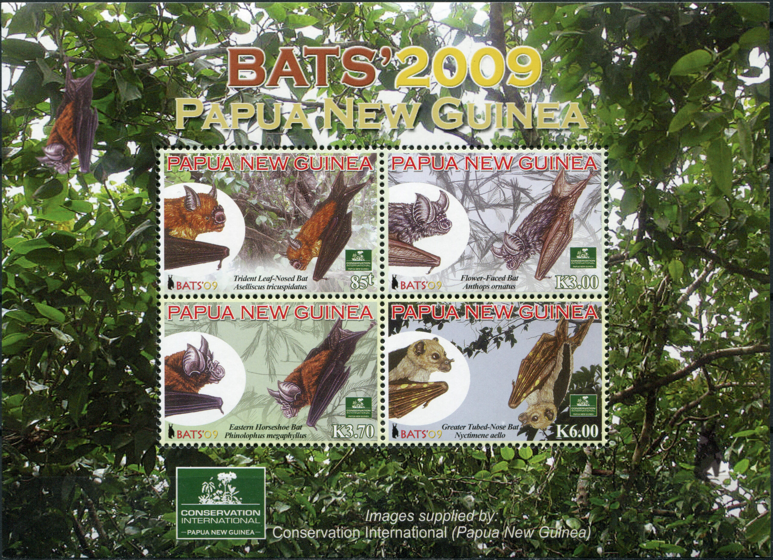 Papua New Guinea. 2009. Bats of Papua New Guinea (MNH **) Miniature Sheet