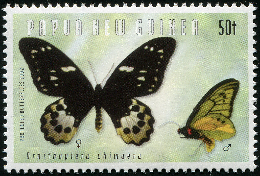 Papua New Guinea. 2002. Chimaera Birdwing (MNH **) Stamp