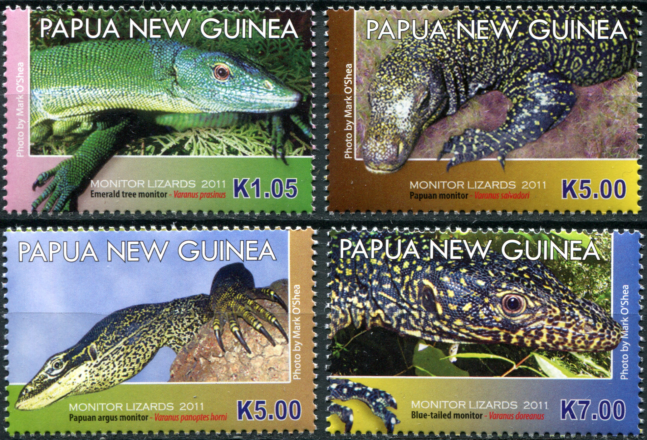 Papua New Guinea. 2011. Monitor Lizards (MNH **) Set of 4 stamps
