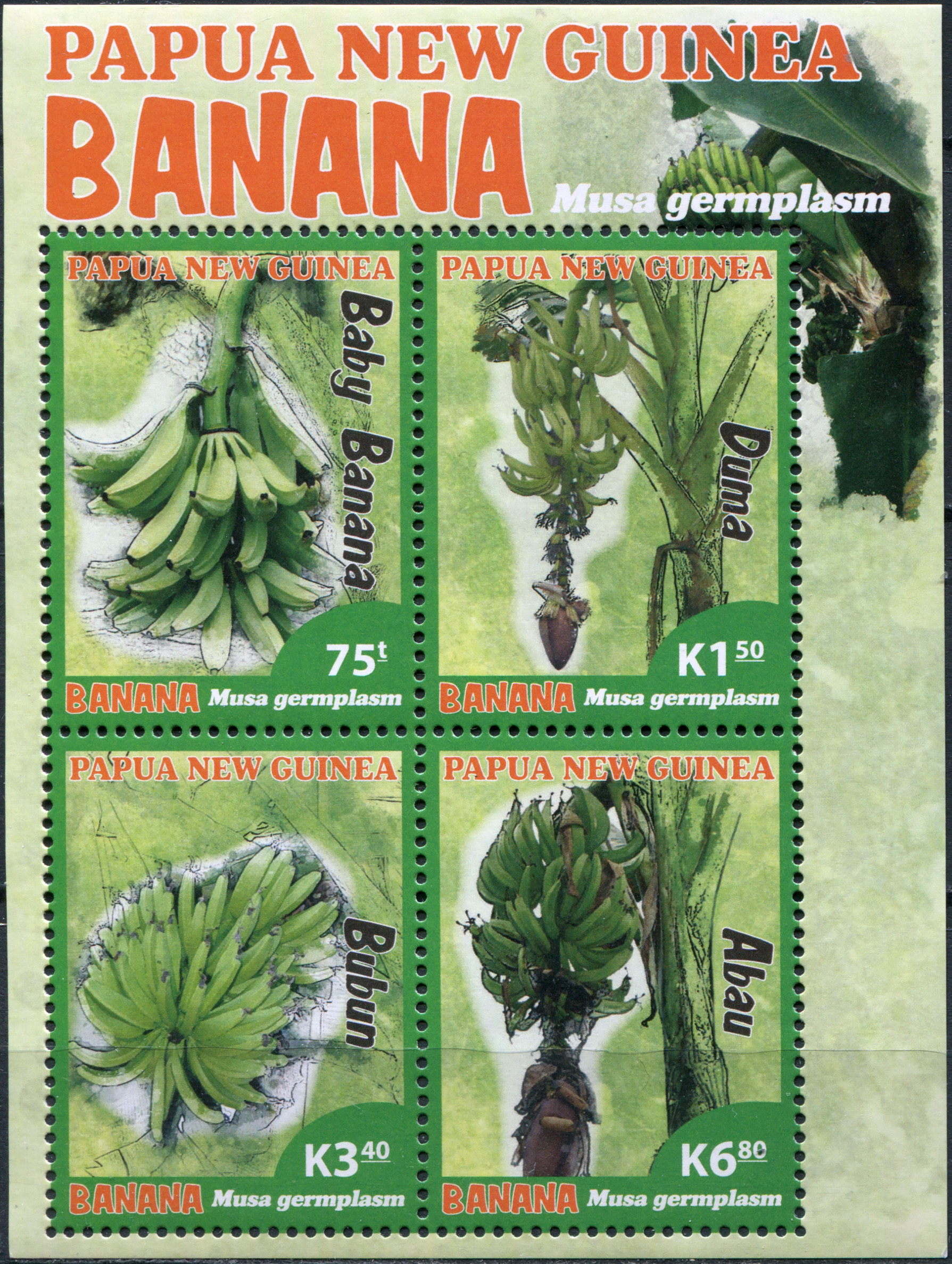 Papua New Guinea. 2017. Native Banana Species of Papua New Guinea (MNH **) Miniature Sheet