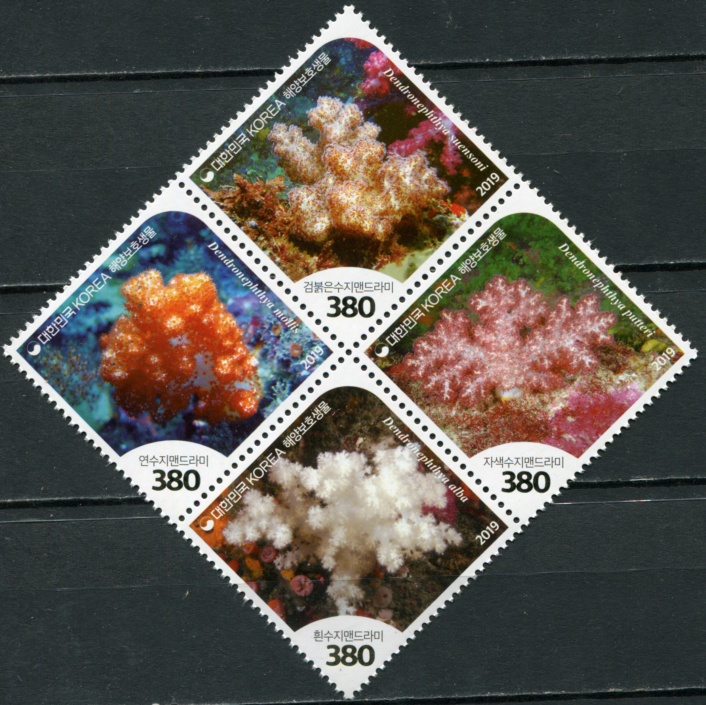 Korea South. 2019. Corals (MNH **) Block of 4 stamps