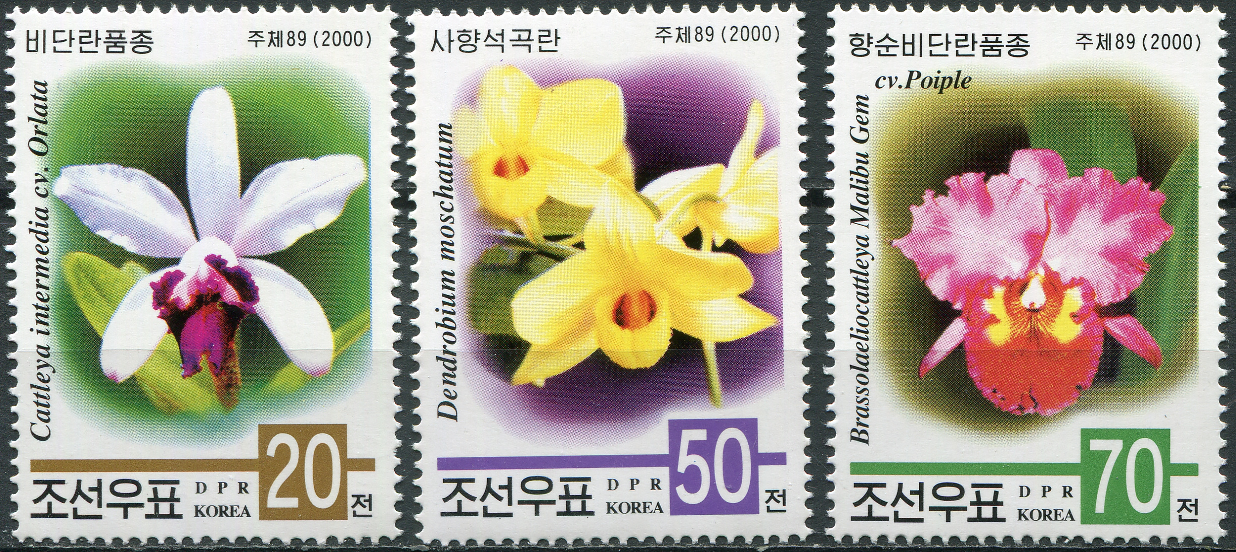 Korea, Democratic People&#039;s republic of. 2000. Orchids (MNH **) Set of 3 stamps
