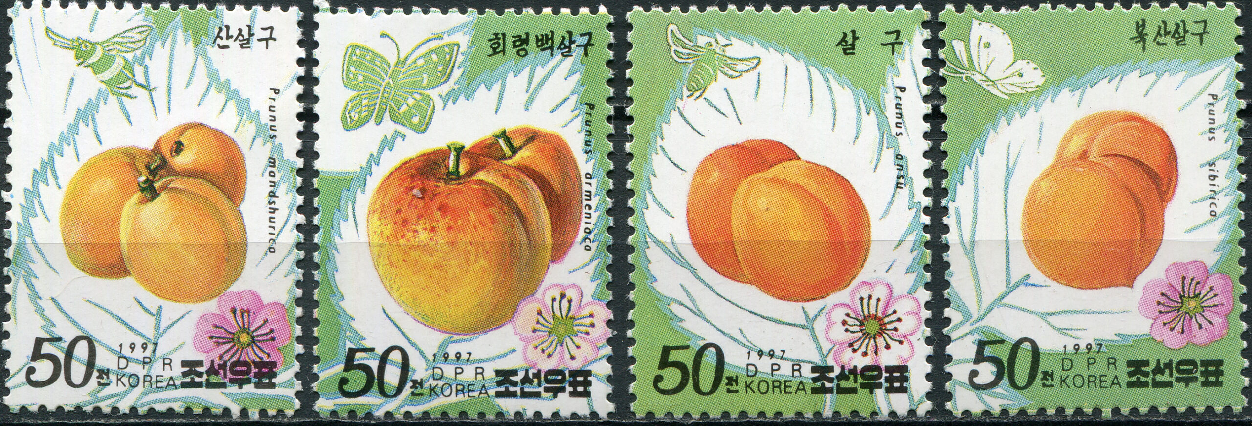 Korea, Democratic People's republic of. 1997. (MNH **) Set of 4 stamps