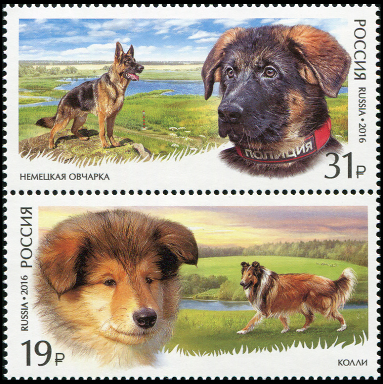 Russia. 2016. Service Dog breeds (MNH OG **) block of 2 stamps