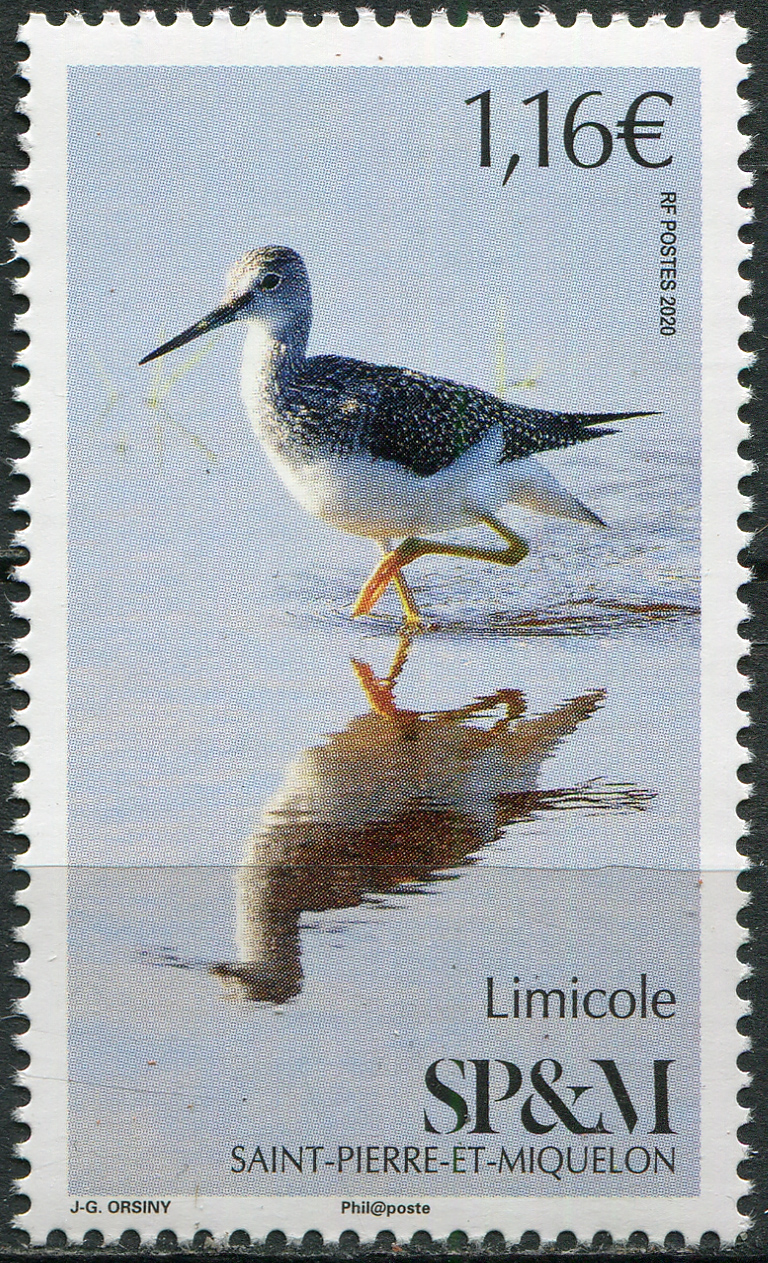 Saint Pierre and Miquelon. 2020. Common greenshank (Tringa nebularia) (MNH **) Stamp