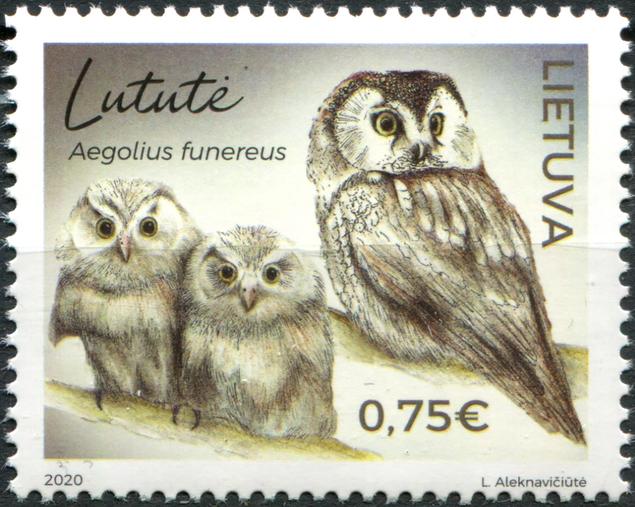 Lithuania. 2020. Boreal Owl (Aegolius funereus) (MNH **) Stamp