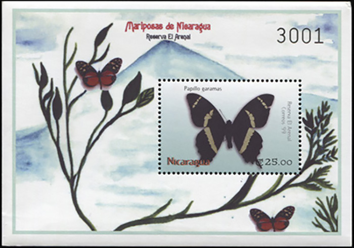 Nicaragua. 2000. Magnificent Swallowtail (Papilio garamas) (MNH **) Souvenir Sheet