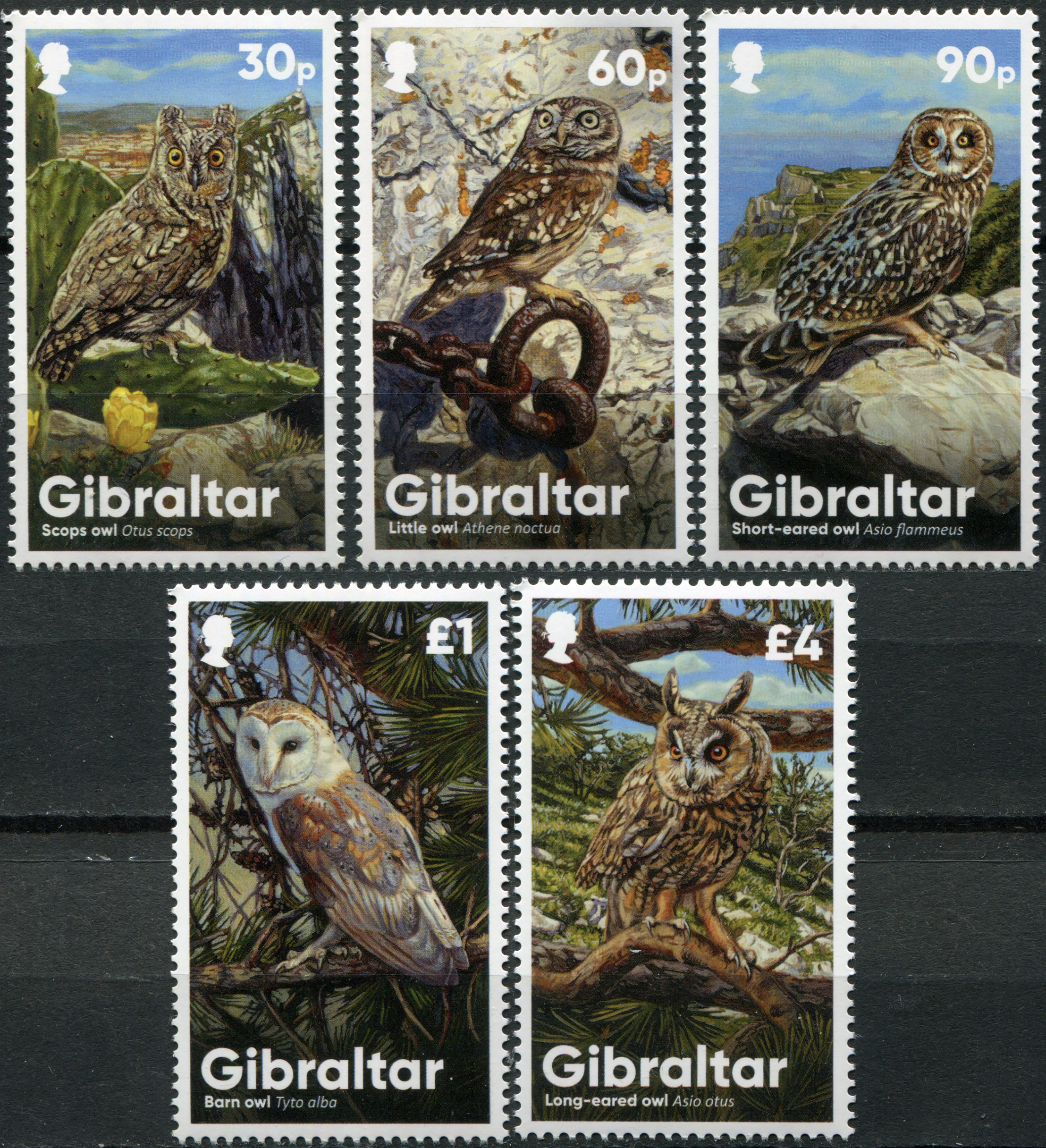 Gibraltar. 2020. Owls (MNH **) Set of 5 stamps