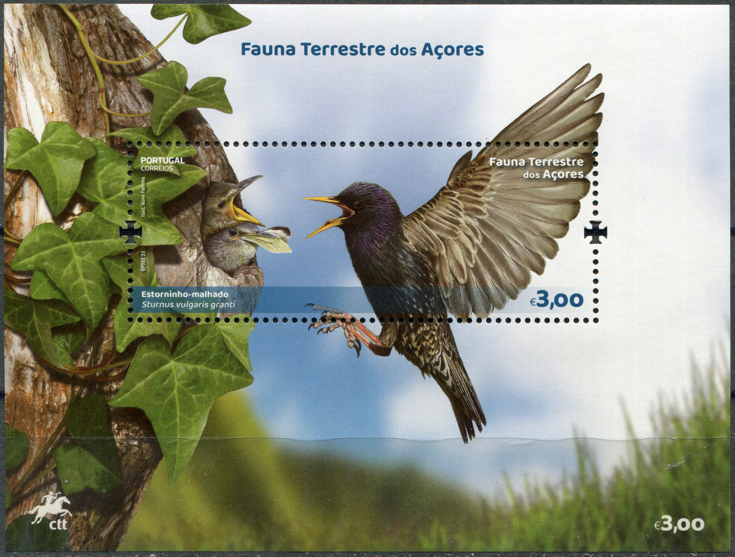 Azores. 2023. Azores Starling (Sturnus vulgaris granti) (MNH **) Souvenir Sheet