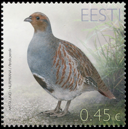 Estonia. 2013. Gray Partridge (Perdix perdix) (MNH **) Stamp