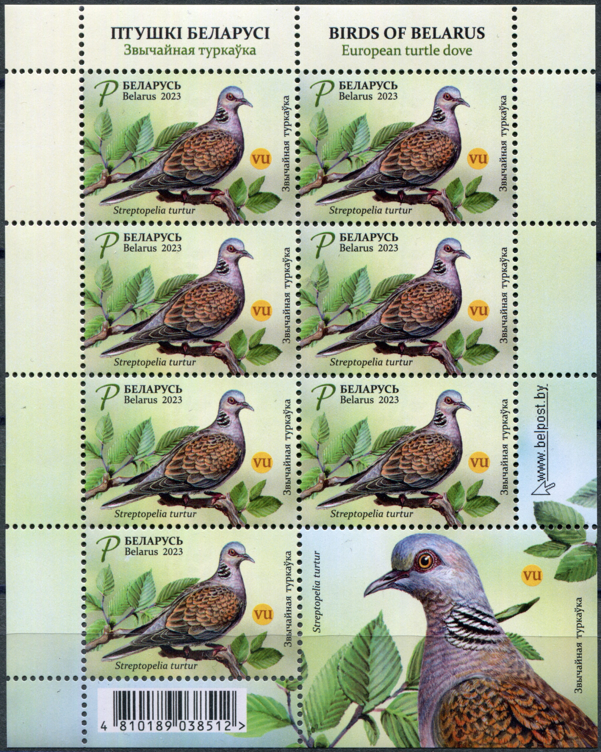 Belarus. 2023. European Turtle Dove (Streptopelia turtur) (MNH **) Miniature Sheet