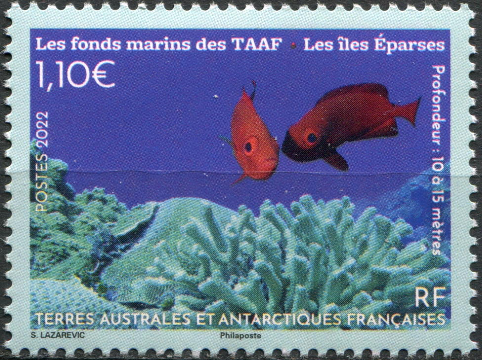 French Southern and Antarctic Lands. 2022. Endemic marine fauna (MNH **) Stamp