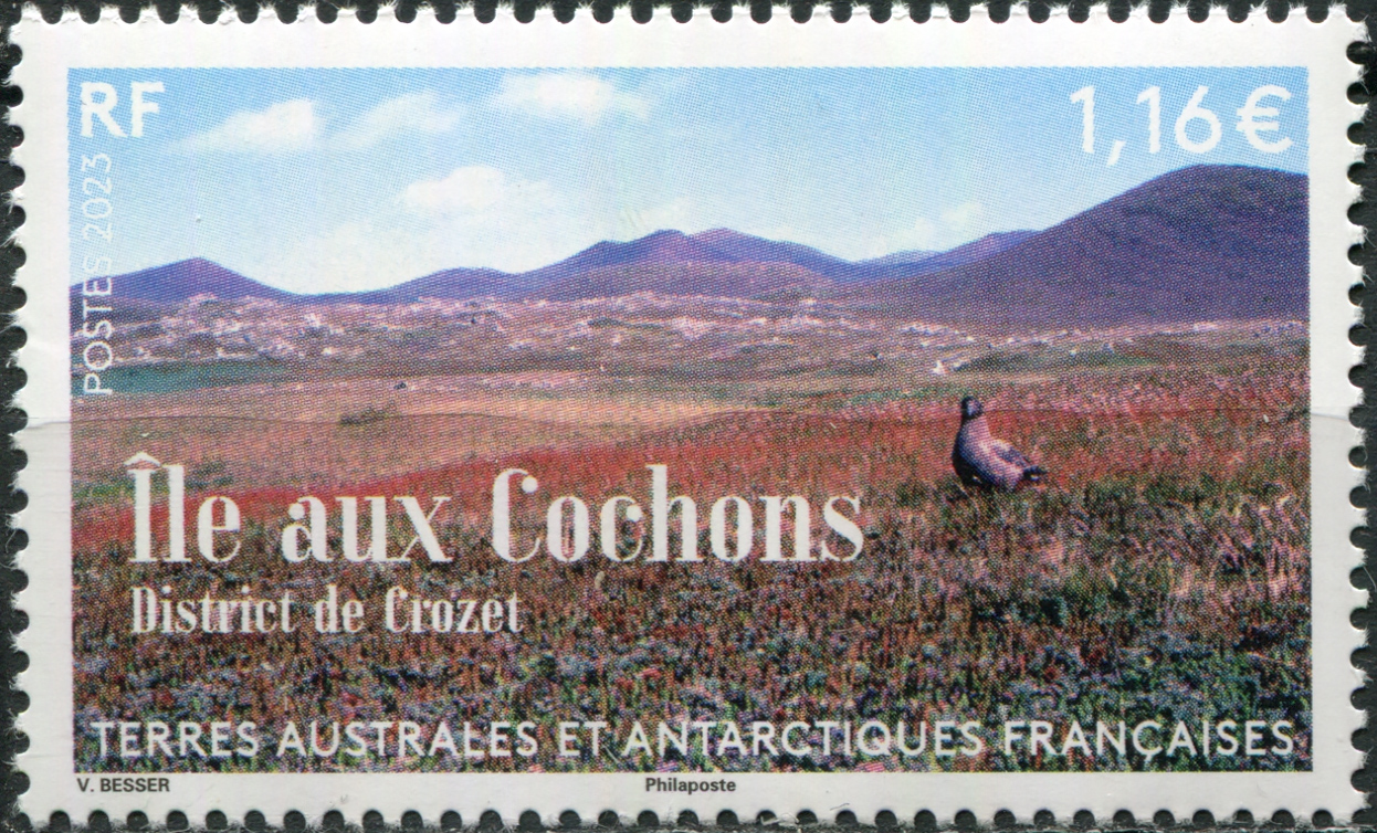 French Southern and Antarctic Lands. 2023. Cochons Island, Crozet (MNH **) Stamp