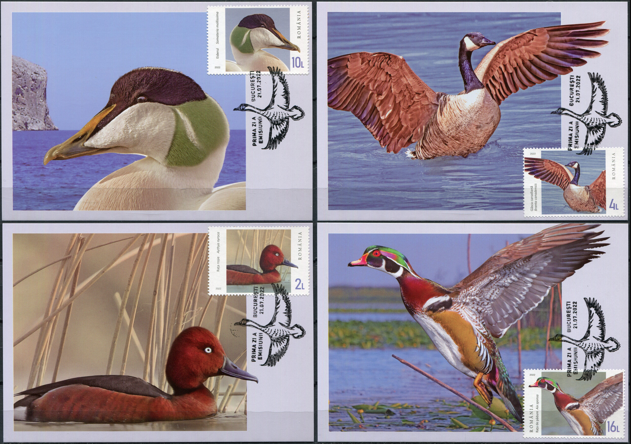 Romania. 2022. Wild Ducks and Geese (Maxi Cards Set, Mint)