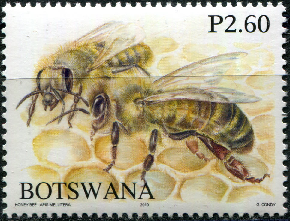 Botswana. 2010. Honey Bees of Botswana (II) (MNH **) Stamp